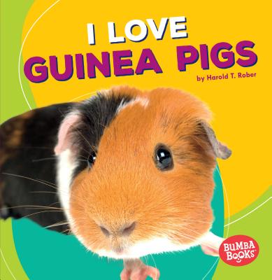 I Love Guinea Pigs by Rober, Harold