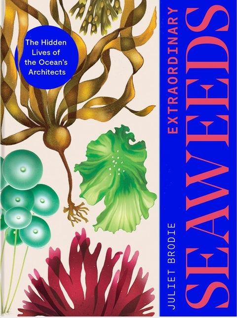 Extraordinary Seaweeds: The Hidden Lives of the Ocean's Architects by Brodie, Juliet