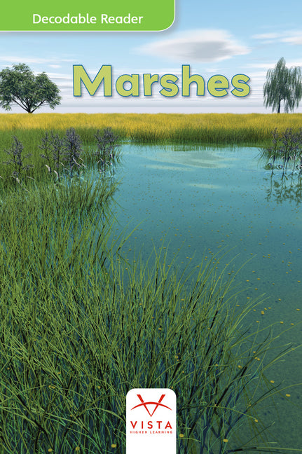 Marshes by Vhl