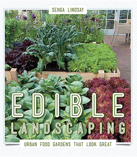 Edible Landscaping: Urban Food Gardens That Look Great by Lindsay, Senga