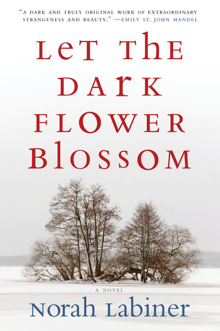 Let the Dark Flower Blossom by Labiner, Norah