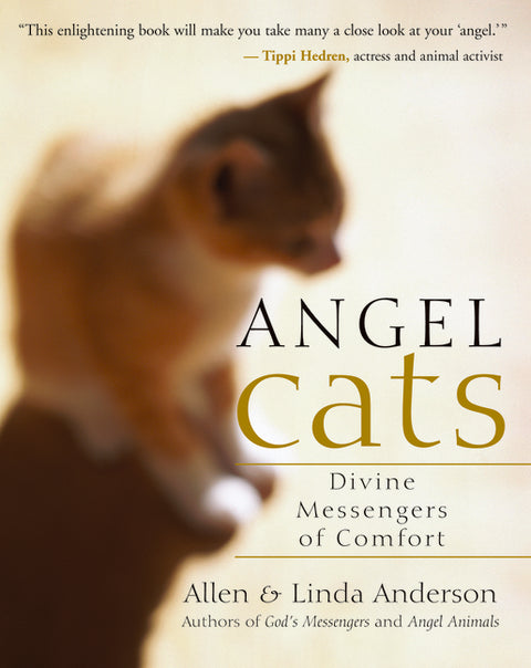 Angel Cats: Divine Messengers of Comfort by Anderson, Allen