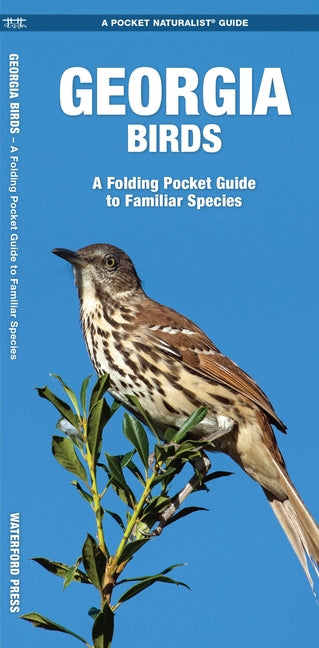 Georgia Birds: An Introduction to Familiar Species