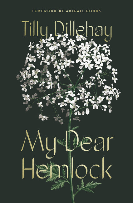 My Dear Hemlock by Dillehay, Tilly