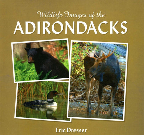 Wildlife Images of the Adirondacks by Esser, Eric