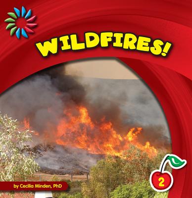 Wildfires! by Minden, Cecilia
