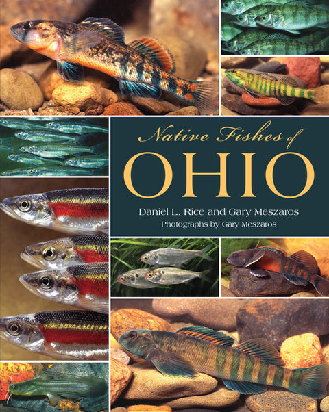 Native Fishes of Ohio