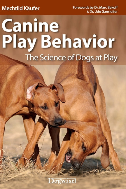 Canine Play Behavior: The Science of Dogs at Play