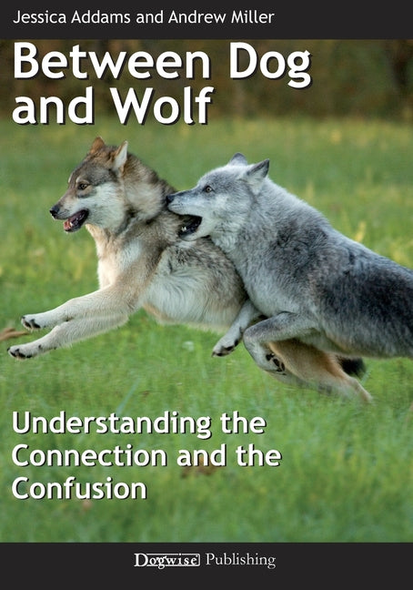 Between Dog and Wolf: Understanding the Connection and the Confusion