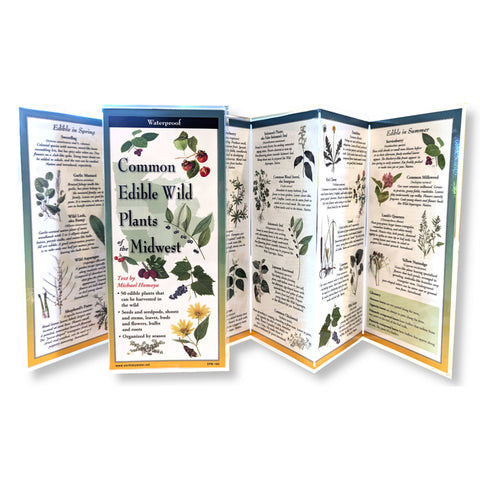 Common Wild Edible Plants of the Midwest by Homoya, Michael