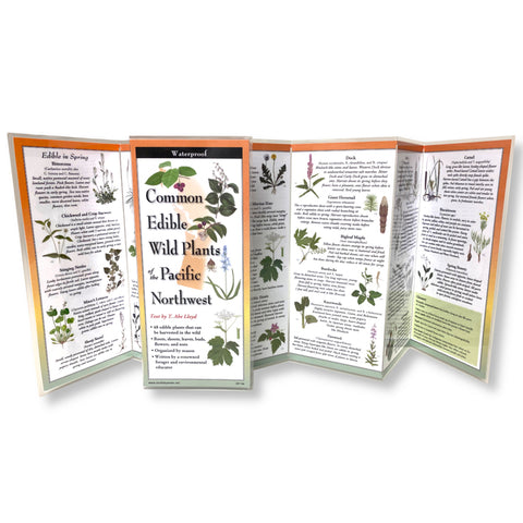 Common Wild Edible Plants of the Pacific Northwest by Lloyd, T. Abe