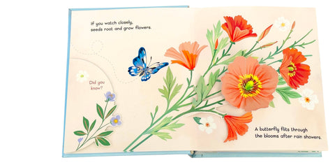 Little Book of Flowers by Kim, Yoojin