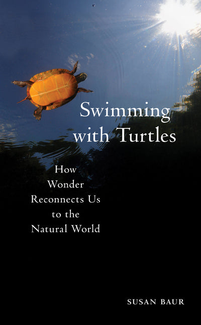 Swimming with Turtles: How Wonder Reconnects Us to the Natural World