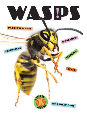 Wasps by Gish, Ashley