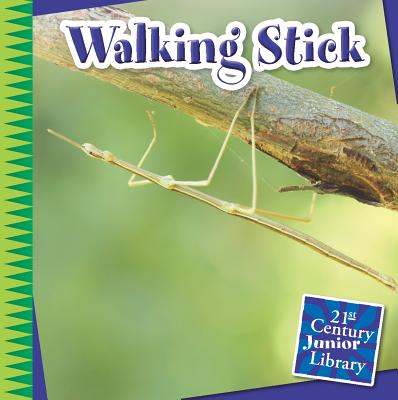 Walking Stick by Orr, Tamra B.
