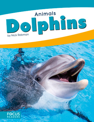 Dolphins by Rebman, Nick