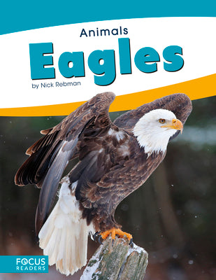 Eagles by Rebman, Nick