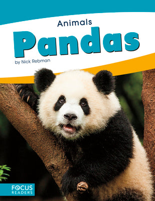 Pandas by Rebman, Nick