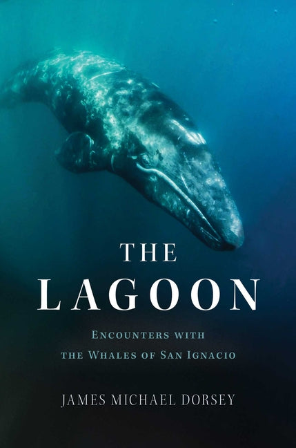 The Lagoon: Encounters with the Whales of San Ignacio by Dorsey, James Michael