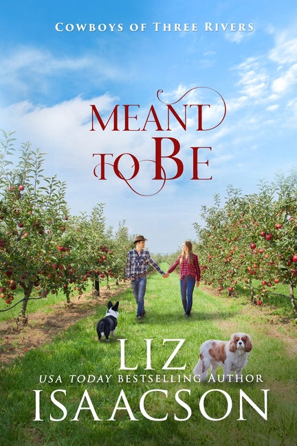 Meant to Be: A Sweet Small Town Single Dad Cowboy Romance