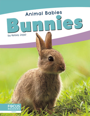 Bunnies by Jopp, Kelsey