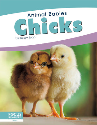 Chicks by Jopp, Kelsey