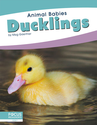 Ducklings by Gaertner, Meg