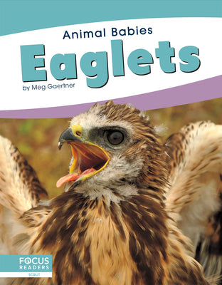 Eaglets by Gaertner, Meg