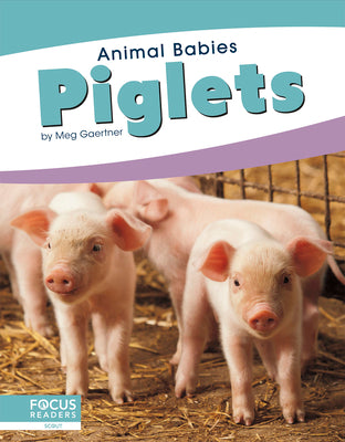 Piglets by Gaertner, Meg