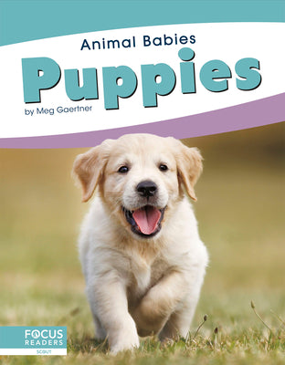 Puppies by Gaertner, Meg