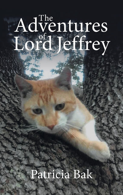 The Adventures of Lord Jeffrey by Bak, Patricia