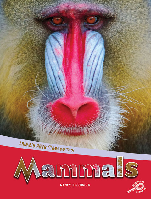 Animals Have Classes Too! Mammals by Furstinger, Nancy