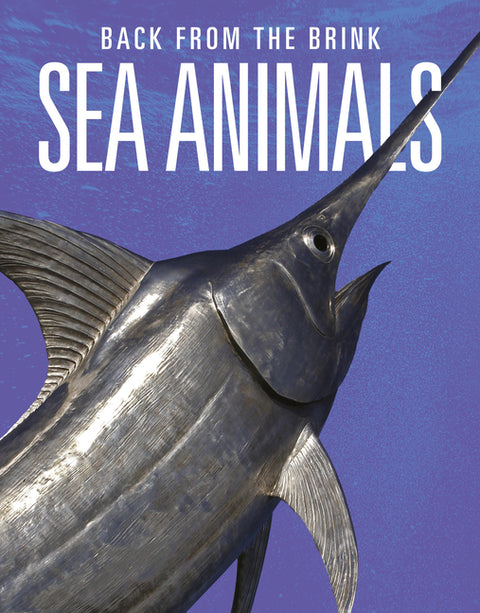 Sea Animals: Back from the Brink by Mattern, Joanne