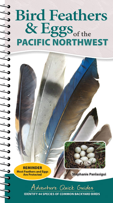 Bird Feathers & Eggs of the Pacific Northwest: Identify 40 Species of Common Backyard Birds