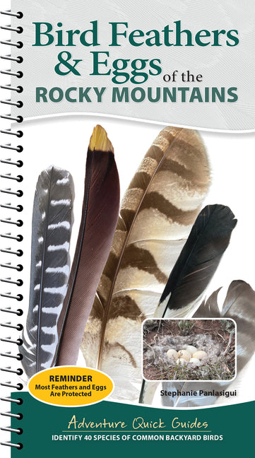 Bird Feathers & Eggs of the Rocky Mountains: Identify 40 Species of Common Backyard Birds