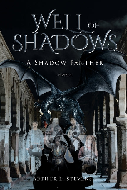 Well of Shadows: A Shadow Panther Novel 3
