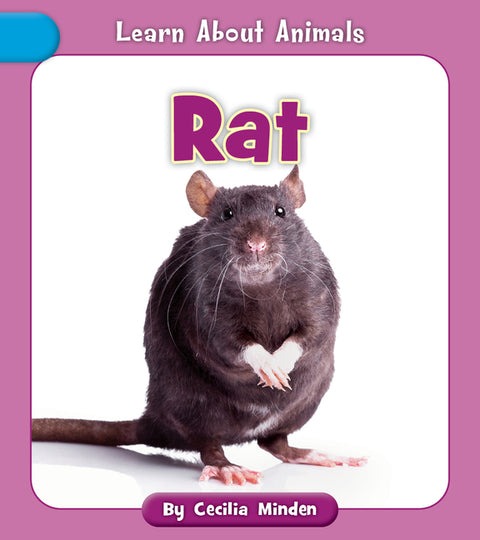 Rat by Minden, Cecilia
