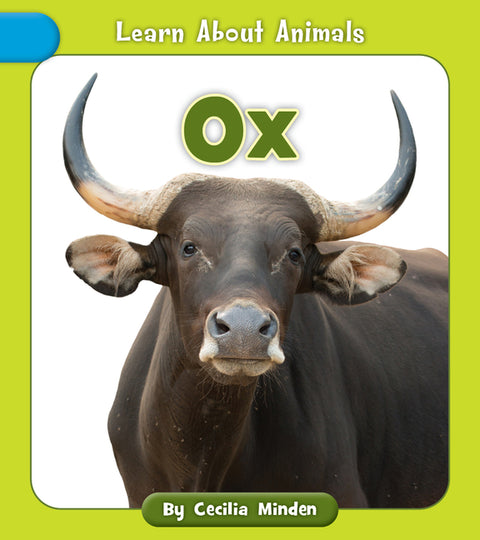 Ox by Minden, Cecilia