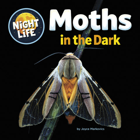 Moths in the Dark by Markovics, Joyce