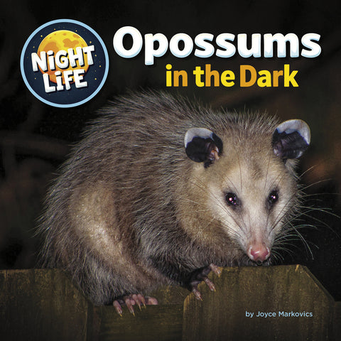 Opossums in the Dark by Markovics, Joyce