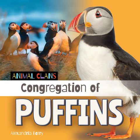 Congregation of Puffins by Berry, Alexandria
