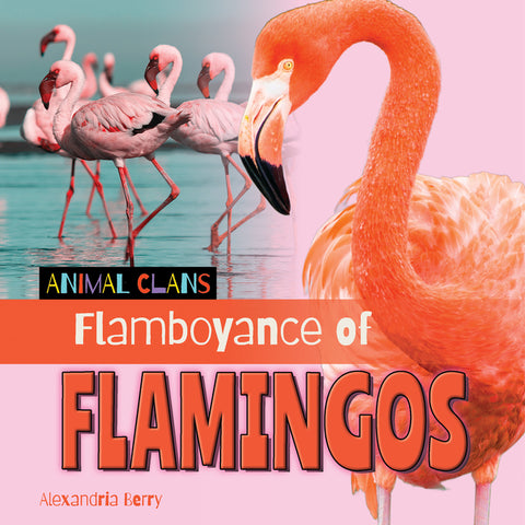 Flamboyance of Flamingos by Berry, Alexandria