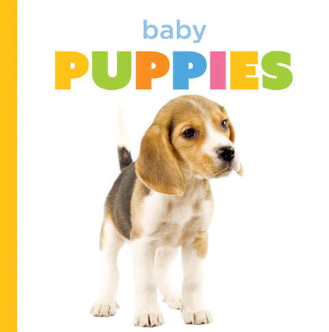 Baby Puppies
