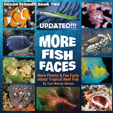 More Fish Faces UPDATED: Updated Photos and Fun Facts about Tropical Reef Fish