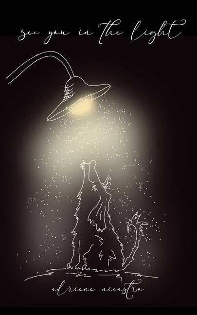 see you in the light