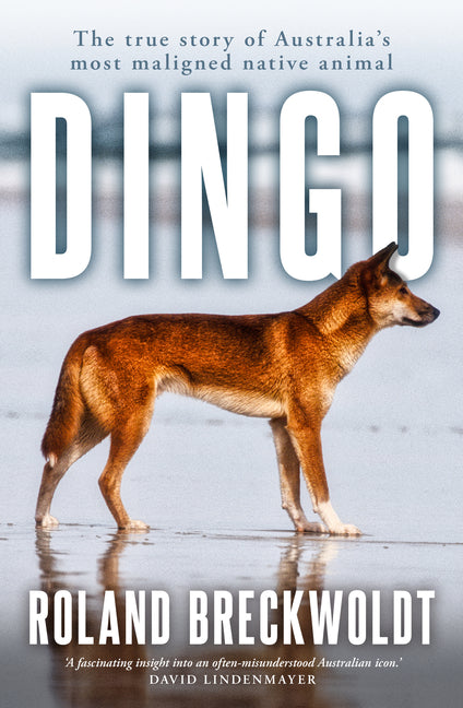 Dingo: The True Story of Australia's Most Maligned Native Animal