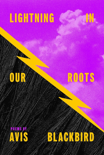 Lightning in Our Roots by Blackbird, Avis