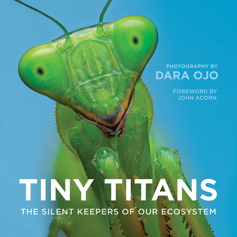 Tiny Titans: The Silent Keepers of Our Ecosystem by Ojo, Dara