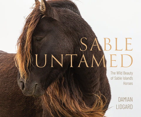 Sable Untamed: The Wild Beauty of Sable Island's Horses
