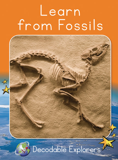Learn from Fossils: Fluency Boost by Lockyer, John